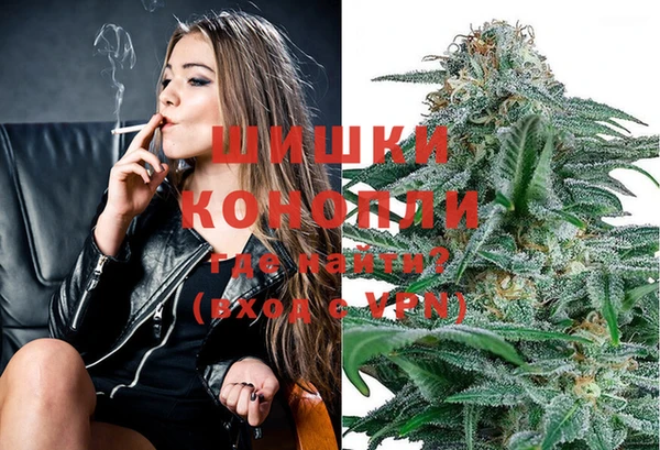 винт Гусь-Хрустальный