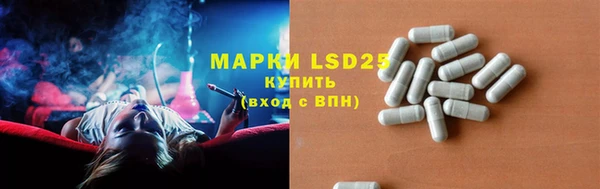 амф Гусиноозёрск