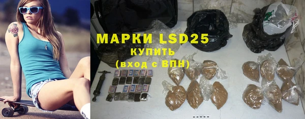 амф Гусиноозёрск